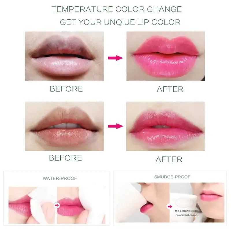 Aloe Vera Moisturizing Lip Balm - KIMDRE