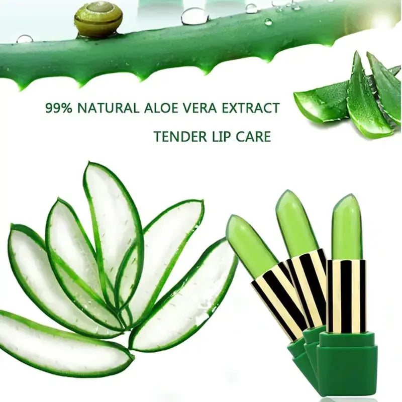 Aloe Vera Moisturizing Lip Balm - KIMDRE